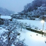 八王子の雪は…